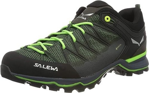 Salewa men mountain trainer - men's,