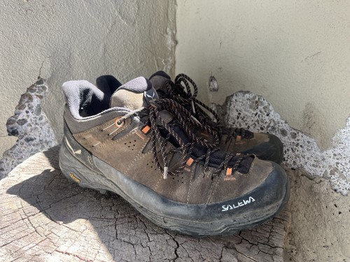 Salewa alp trainer men - alp,